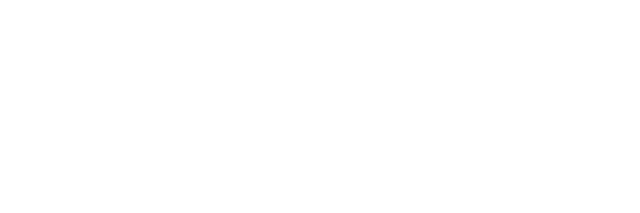 WFNET Logo